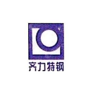 宁波市齐力特钢有限公司