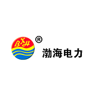 沧州渤海电力管件有限公司